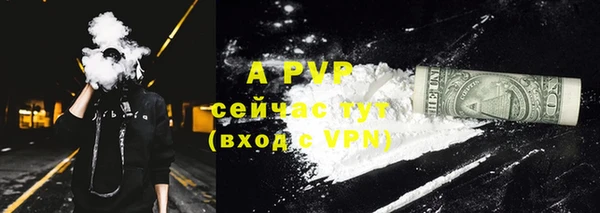стаф Заволжье