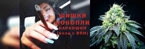 стаф Заволжье