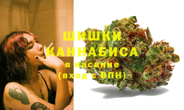 стаф Заволжье