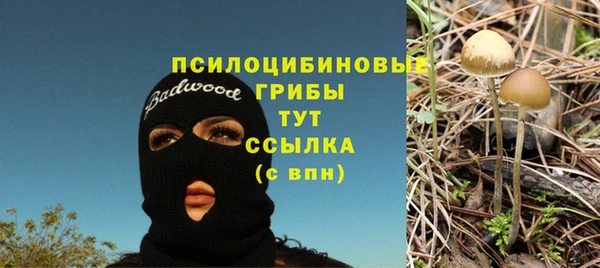 стаф Заволжье